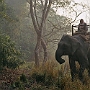 Elefanten-Safari_002
