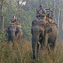 Elefanten-Safari_003