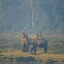 Elefanten-Safari_005