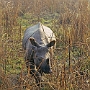Elefanten-Safari_007