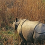 Elefanten-Safari_009