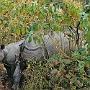Elefanten-Safari_016