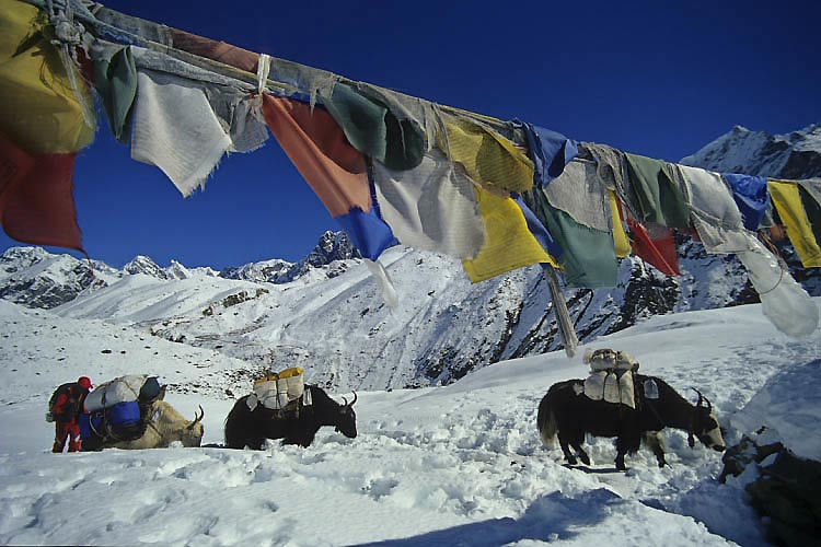 Gebetsfahnen auf dem Weg nach Gokyo in Nepal