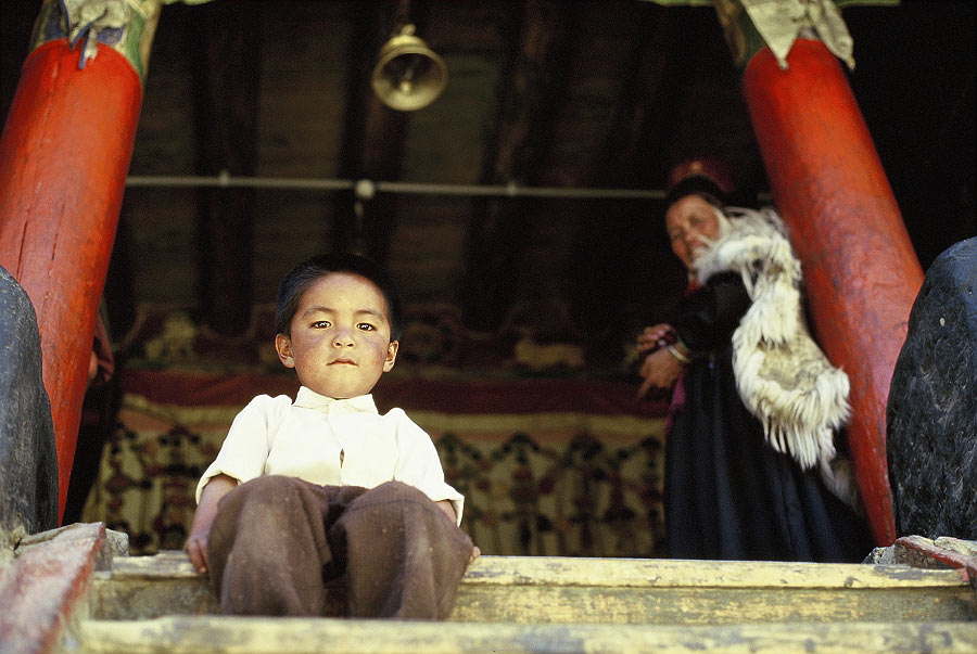 junge im kloster phyang, ladakh, indien
